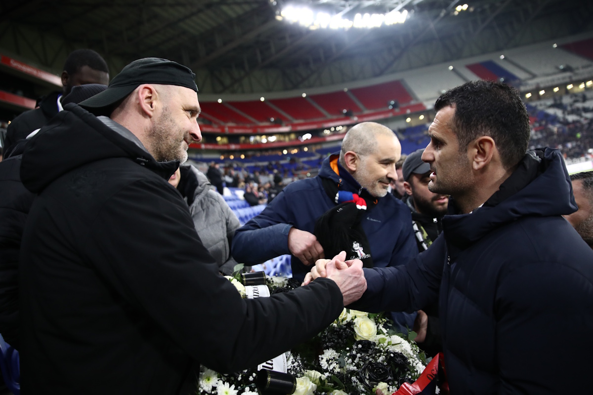 karypidis-lion-eurpkinissi ΦΩΤΟ Eurokinissi