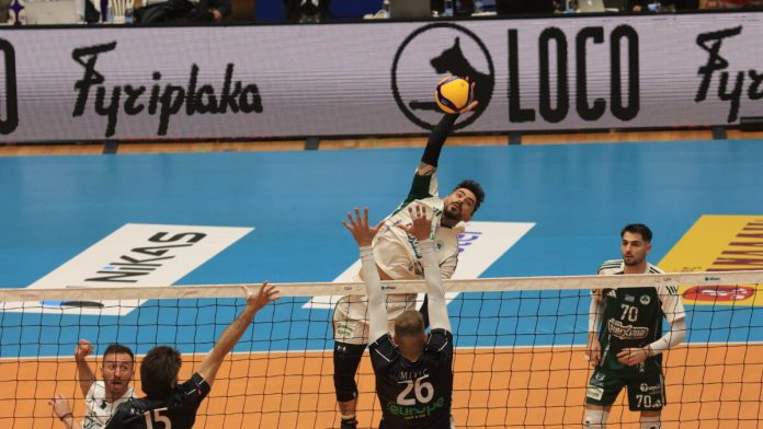 ΛΕΩΝΙΔΑΣ ΤΖΕΚΑΣ