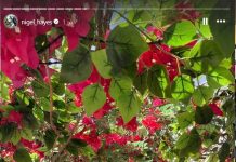 Ο Νάιτζελ Χέιζ Ντέιβις έκανε νέο ταξίδι «αστραπή» στη Σαντορίνη xz